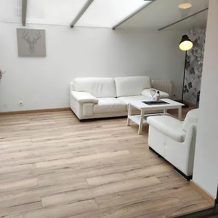 Gite En Sologne - La Deniserie - 94M2 Avec Garage Romorantin-Lanthenay Exterior foto