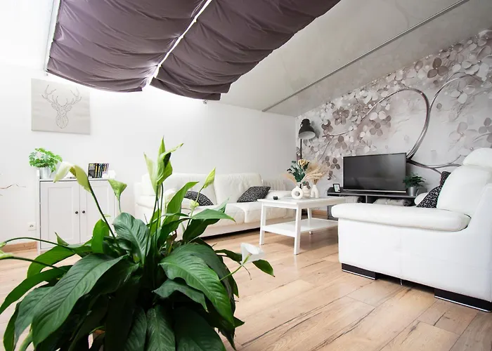 Gite En Sologne - La Deniserie - 94M2 Avec Garage
